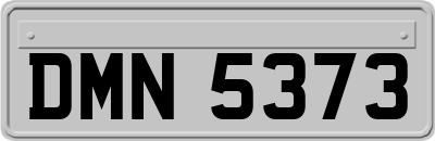 DMN5373
