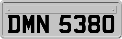DMN5380