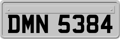 DMN5384