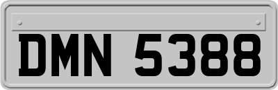 DMN5388