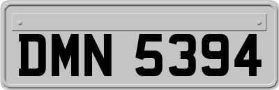 DMN5394