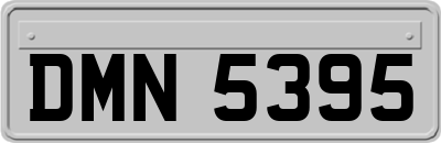DMN5395