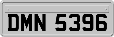 DMN5396