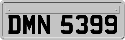 DMN5399