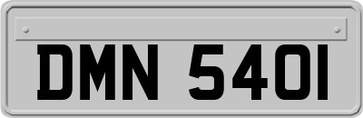 DMN5401