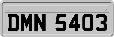 DMN5403