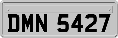DMN5427