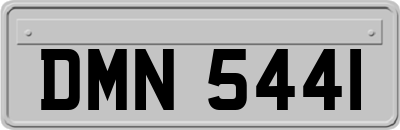 DMN5441