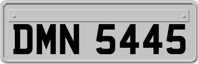 DMN5445
