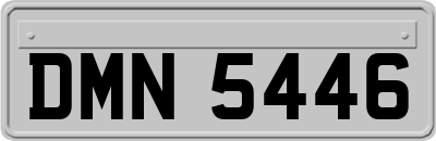 DMN5446