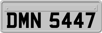 DMN5447