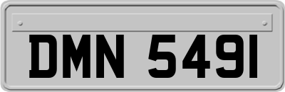 DMN5491