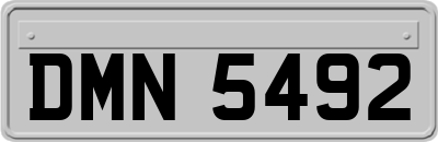 DMN5492
