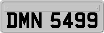 DMN5499