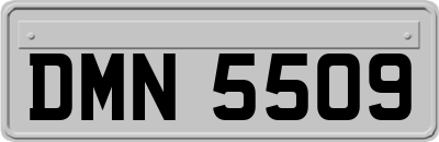 DMN5509
