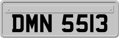 DMN5513