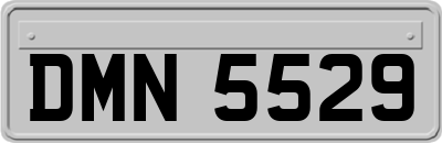 DMN5529
