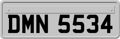 DMN5534