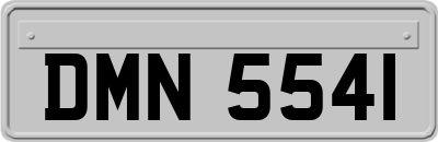 DMN5541