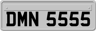DMN5555