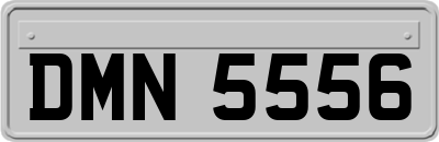 DMN5556