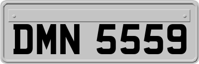 DMN5559