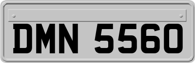 DMN5560