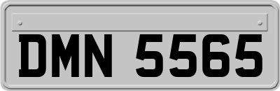 DMN5565
