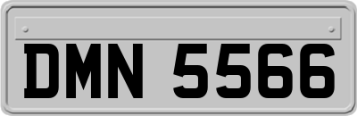 DMN5566