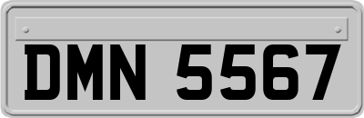 DMN5567