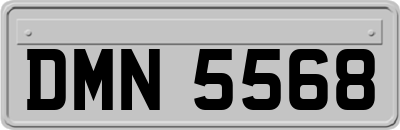 DMN5568
