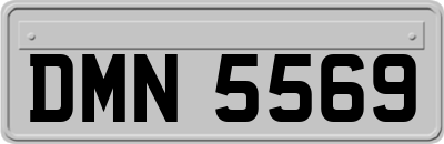 DMN5569