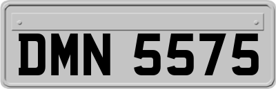 DMN5575