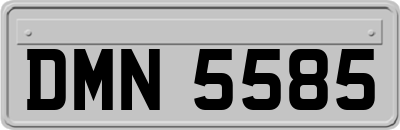 DMN5585