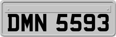 DMN5593