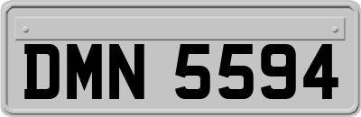 DMN5594