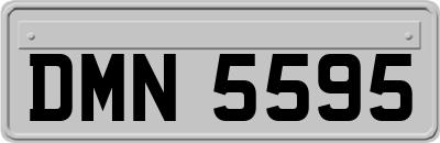 DMN5595