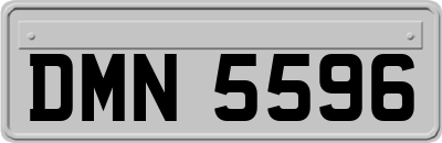 DMN5596