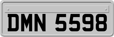 DMN5598