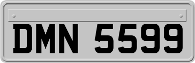 DMN5599