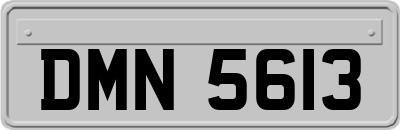 DMN5613