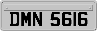 DMN5616