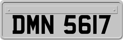 DMN5617