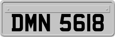 DMN5618