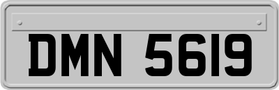 DMN5619
