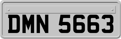 DMN5663