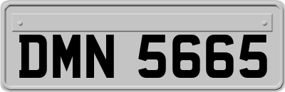 DMN5665