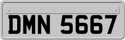 DMN5667