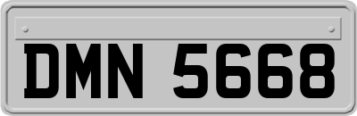 DMN5668