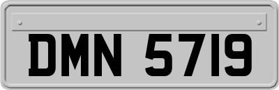 DMN5719